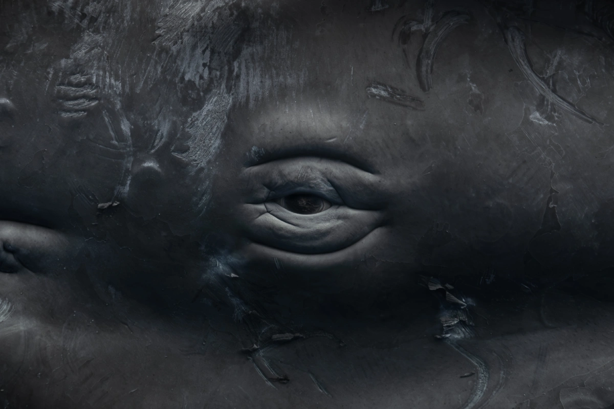 Whale eye